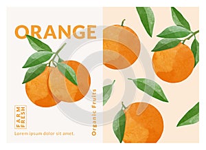 Orange packaging design templates, watercolour style vector illustration.