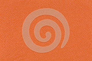 Orange paper napkins