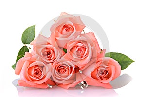 Orange peach color tone of rose flower bouquet on white background