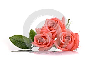 Orange peach color tone of rose flower bouquet  on white background