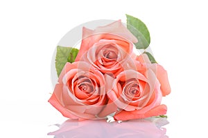 Orange peach color tone of rose flower bouquet on white background