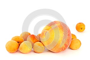 Orange peach and some apricots