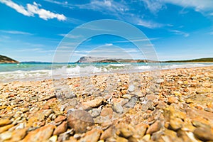 Orange pebble in Capo Coda Cavallo shore