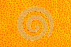 Orange peel background