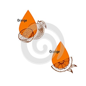 Orange peel oil icon set. Hand drawn sketch. Extract of plant. Vector illustration