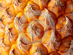 Orange peel of a ripe pineapple as an abstract background. Texture