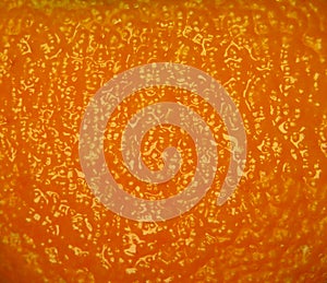 Orange peel texture background