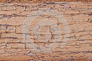 Orange peeled painted wooden surface with cracks macro background