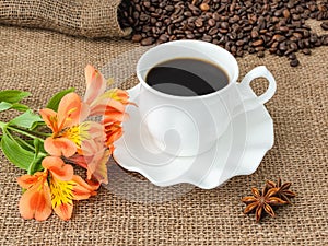 Orange peruvian lily flower, hot coffee in white elegant cup with saucer and scattering of coffee beans on rustic sackcloth a