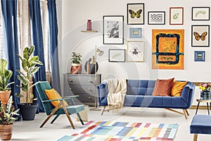 Orange pillow on green armchair near blue couch in colorful livi