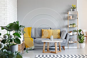 Orange pillows and blanket on grey couch in living room interior
