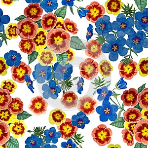 Orange pimpernel and blue scarlet flower blossom on white color background