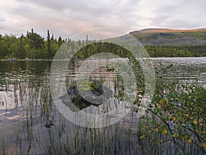 Orange pink sunset over lake Sjabatjakjaure in Parte in Sweden Lapland. Mountains, birch trees, spruce forest, rock