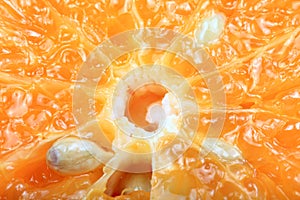 Orange pulp