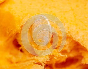 Orange pulp with seeds in a pumpkin as background