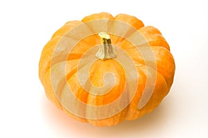 Orange Pumkin