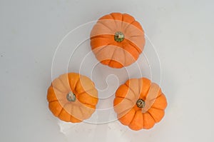 Orange pumkin on white background