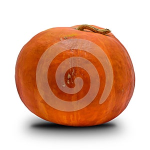 orange pumpkin