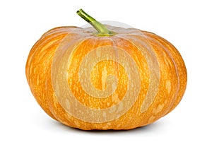 Orange pumpkin