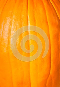 Orange pumpkin background