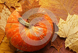 Orange pumpkin on the background of autumn leaves, top view. Natural material, preparation for the international holiday Halloween