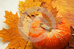 Orange pumpkin on the background of autumn leaves, top view. Natural material, preparation for the international holiday Halloween