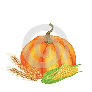 Orange pumpkin, corn, ears of wheat. Harvest elements, for the holiday of Thanksgiving, Kwanzaa. Autumn clip art. Hand