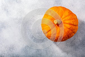 Orange pumpkin Cucurbita pepo fruit on grey textured backdrop w/ copy space,  top view