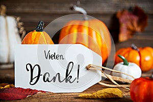 Orange Pumpkin Decoration With Label With Text Vielen Dank