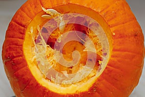 orange pumpkin entrails photo