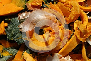Orange pumpkin food scraps detail and onions
