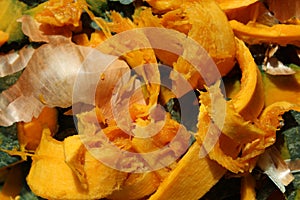 Orange pumpkin food scraps detail and onions