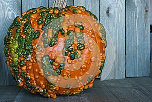 Orange pumpkin with green bumps on a wood background