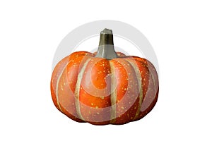 Orange pumpkin isolated on white background