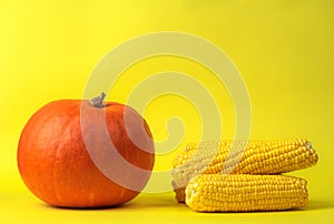 Orange pumpkin with juicy yellow ripe corn