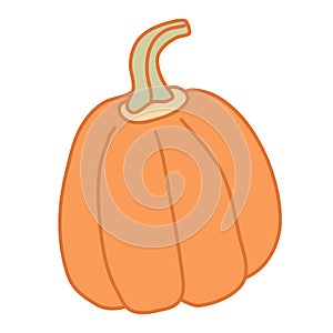 Orange pumpkin with a long petiole in cartoon style. photo