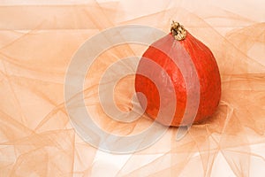 Orange Pumpkin on an orange texture surface with background of the same color