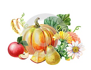 Orange pumpkin,Red apple,pear.Watercolor illustration on white background. Autumn harvest.Fresh vegetarian food