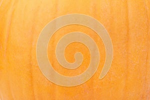 Orange pumpkin skin texture background