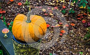 Orange pumpkin on a vase with mushrooms in the background, seasonal holiday tradition and decorations