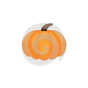 Orange pumpkin vector illustration. Autumn halloween pumpkin, vegetable graphic icon or print, isolated on white background