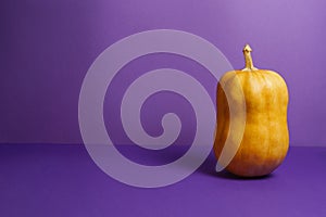 Orange pumpkin on violet background with space