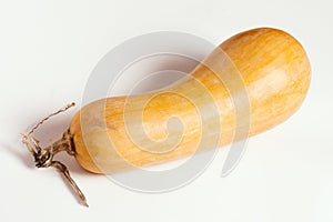 Orange pumpkin on white background