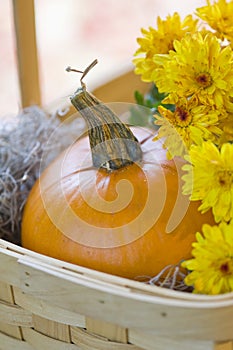 Orange pumpkin and yellow mums in basket
