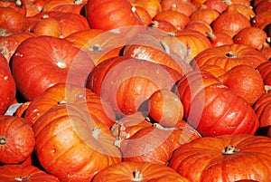 Orange pumpkins