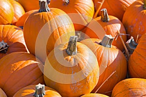 Orange Pumpkins