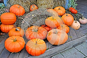 Orange pumpkins against bales of hay. Fall