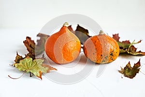 Orange pumpkins and dry leaves on white background