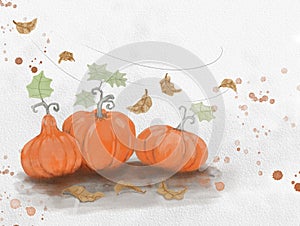 Orange pumpkins fruit and autumn leaves flying illustration watercolor painting
