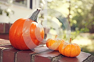 Orange pumpkins by a house with sunshine